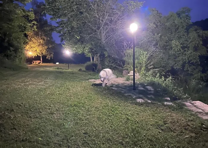 Luna Dei Carlini *